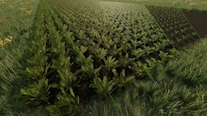 Grow now v 1.0