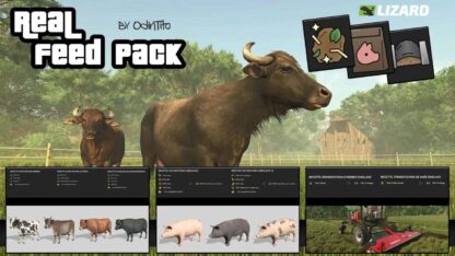 Real Feed Pack v 1.3