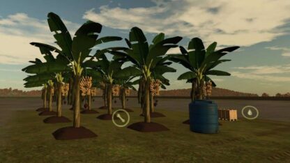 Banana Plantation v 1.0