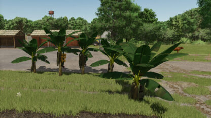 Banana Tree v 1.0