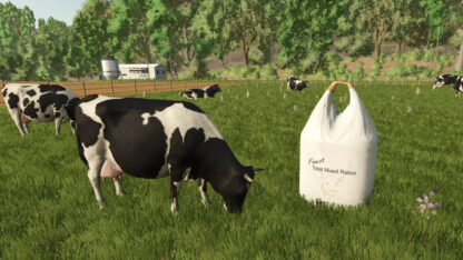 Big Bags with finished TMR v 1.0