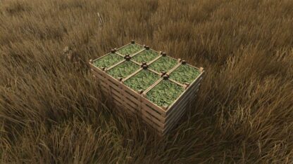 Hemp Growing v 1.0