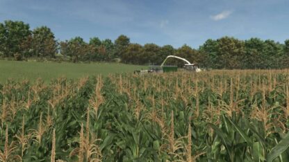 Improved Corn Texture v 1.0