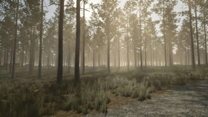 Pinewood Forest Map v 1.1