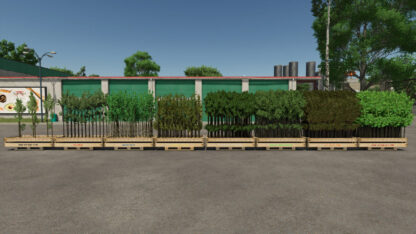 Tree Sapling Pack v 1.0
