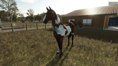 Happy Horse v 1.0