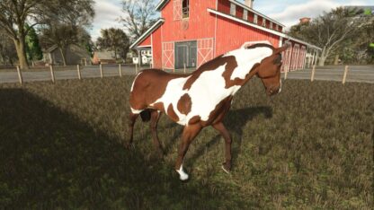 Increased Value of the Horse v 1.0