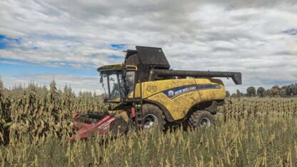Realistic Maize Texture v 1.0