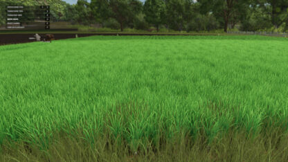 Grow now v 1.0