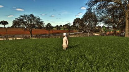 More beautiful Grass v 1.0