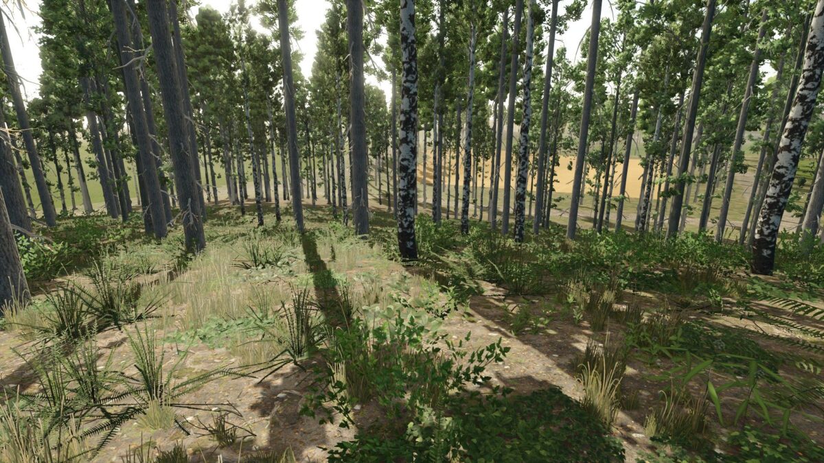Old Kiwi Farm Map v 1.0.0.1
