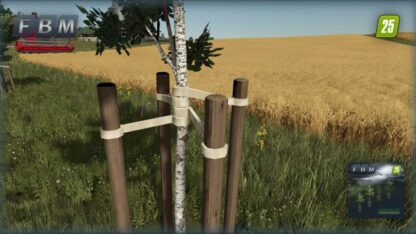 Young Trees Pack v 1.0