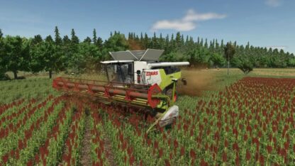 Common Sorghum Texture v 1.0