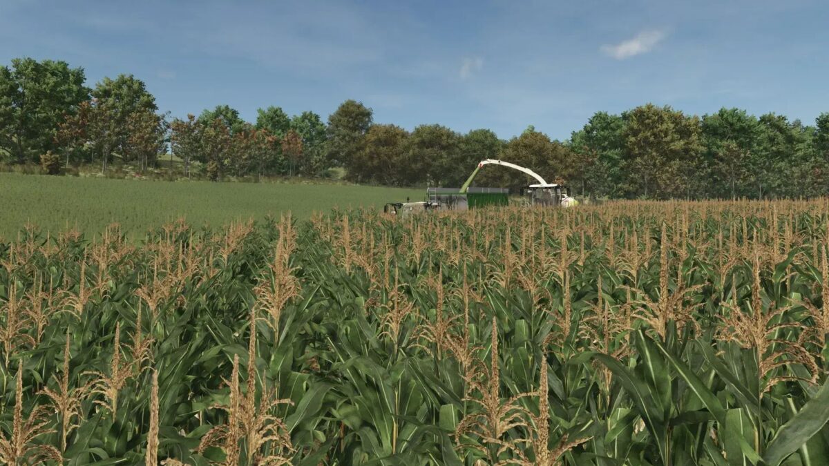 Improved Corn Texture v 1.0.0.1