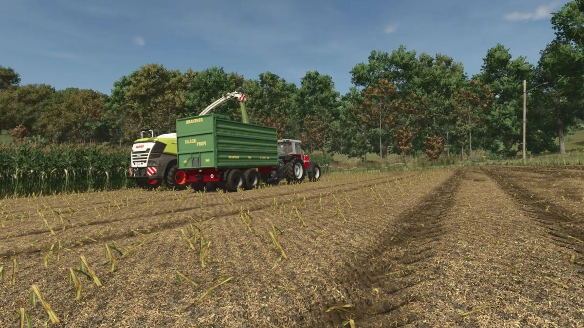 Improved Corn Texture v 1.0.0.1