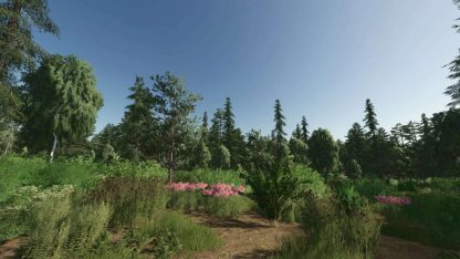 Forest Valley Map v 1.0