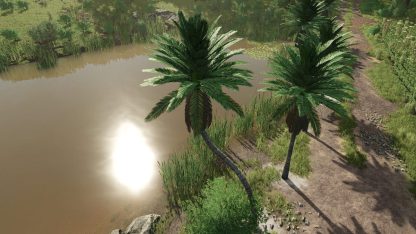 Coconut Trees v 1.0