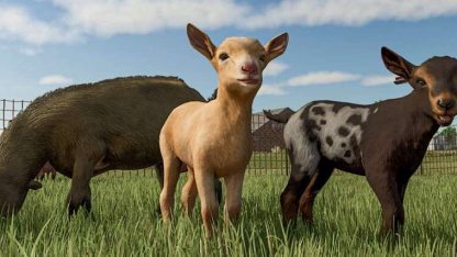 More Visual Animals v 1.0