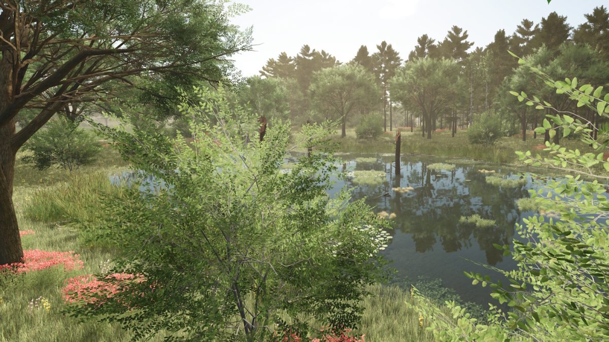 Mecklenburg Lake District Map v 1.0
