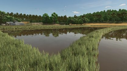 Rice Fields SA v 1.0