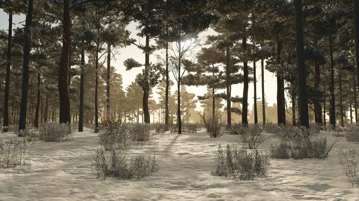Ronida Island 4x Map v 1.0