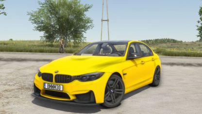 BMW M3 F80 v 1.0.0.1