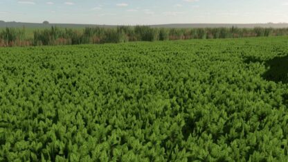 Mint Foliage v 1.0