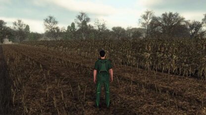 Realistic Maize Growth System in Europe v 1.0