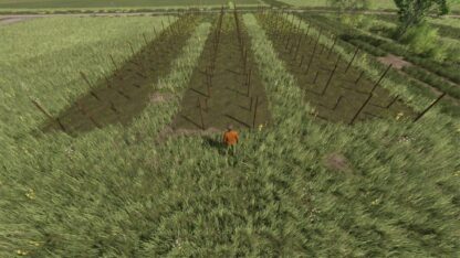 Narrow Vines and Olives (2 and 2.50) v 1.0