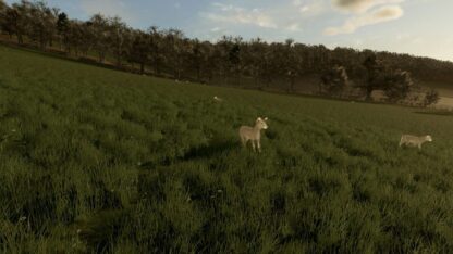Animal Ground Placement Fix v 1.0