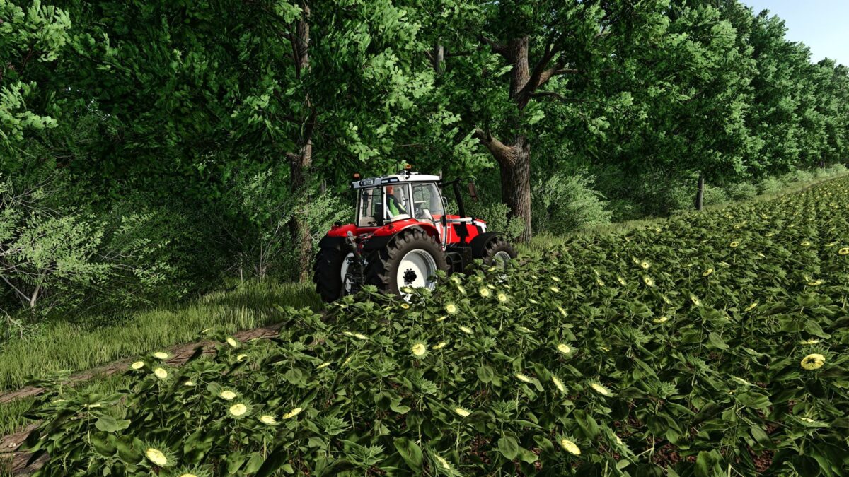 FS Realistic Shader v 2.1