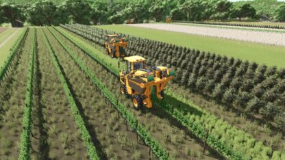 Grape and Olive Yield Settings v 1.0