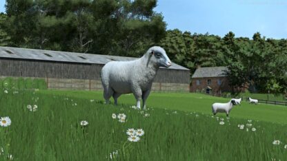 Sheep Breeds for RLRM v 1.0