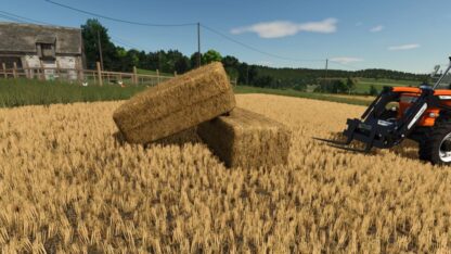 Bale Physics Stabilizer v 1.0