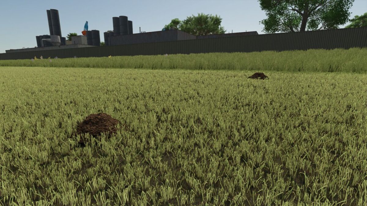 Dynamic Molehills v 1.0