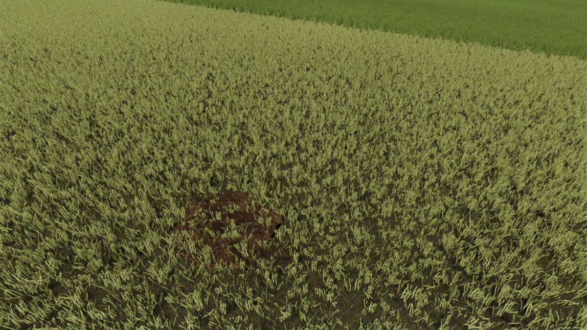 Dynamic Molehills v 1.0
