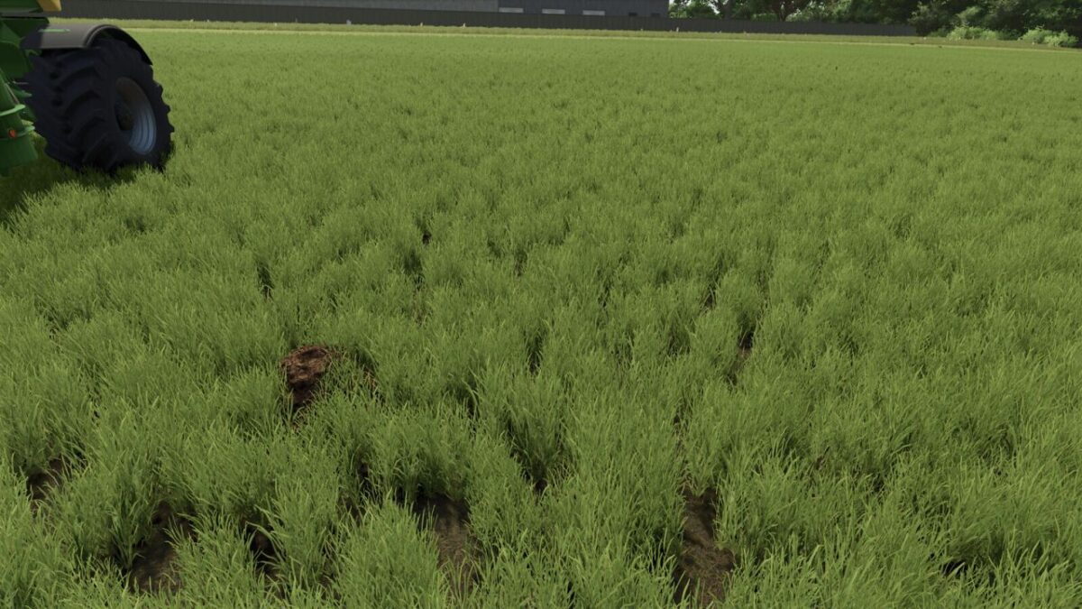 Dynamic Molehills v 1.0