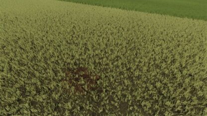 Dynamic Molehills v 1.0.0.2