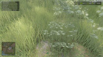 Grass Collection v 1.0