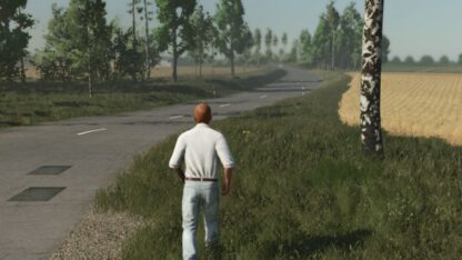 Player Movement Fix v 1.0.0.1