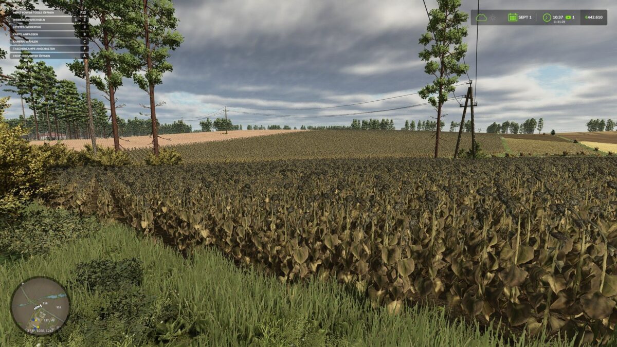 Crop Converter v 1.1