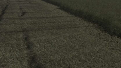 Gras Texture v 1.0