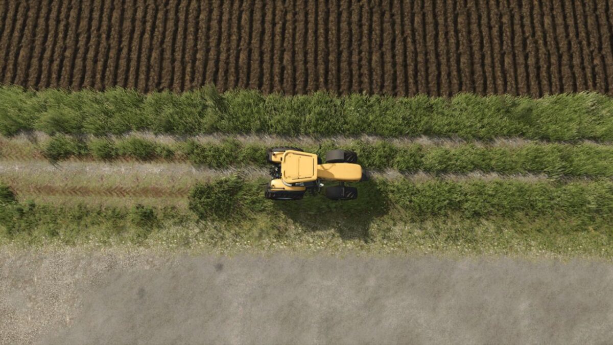 Meadow Trails v 1.0.1.0