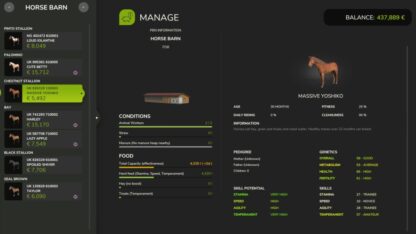 Realistic Equestrian v1.0