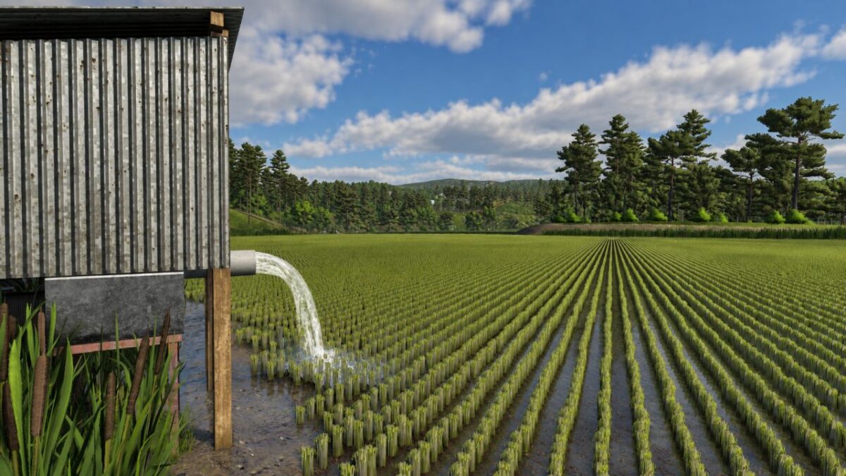 Rice Field Control v 1.0